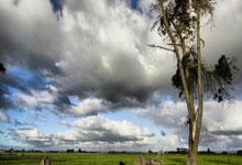 德约科维奇在独行侠比赛中爆冷，势不可挡引发热议！